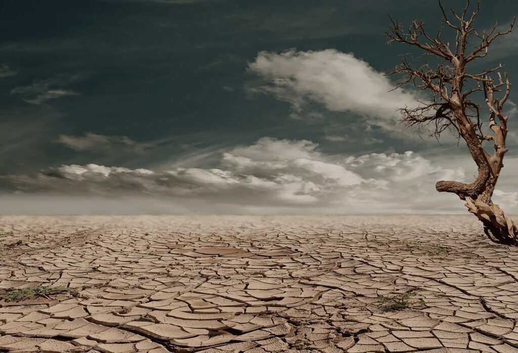 relief from dry mouth, what causes dry mouth, dentist west branch