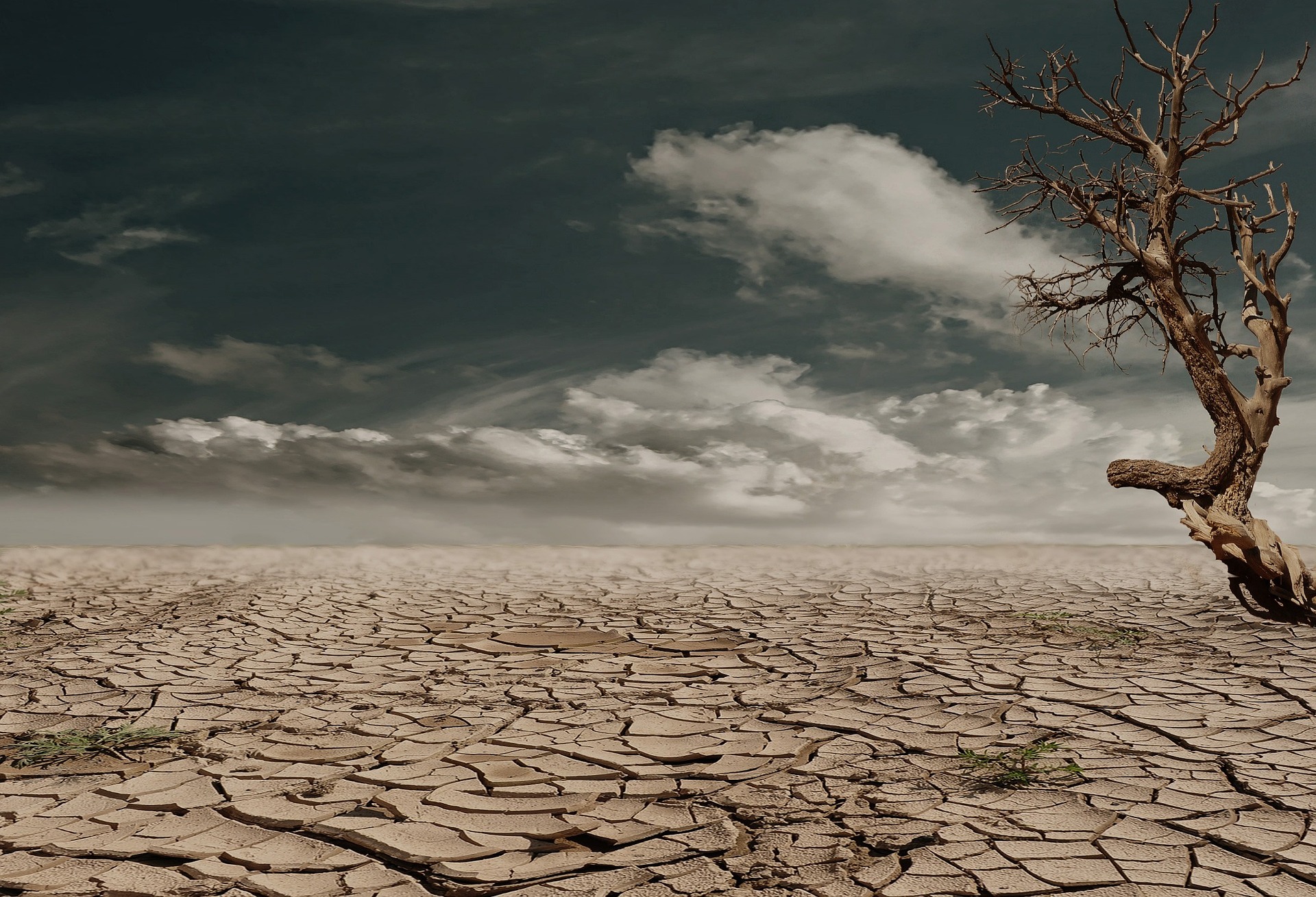 relief from dry mouth, what causes dry mouth, dentist west branch
